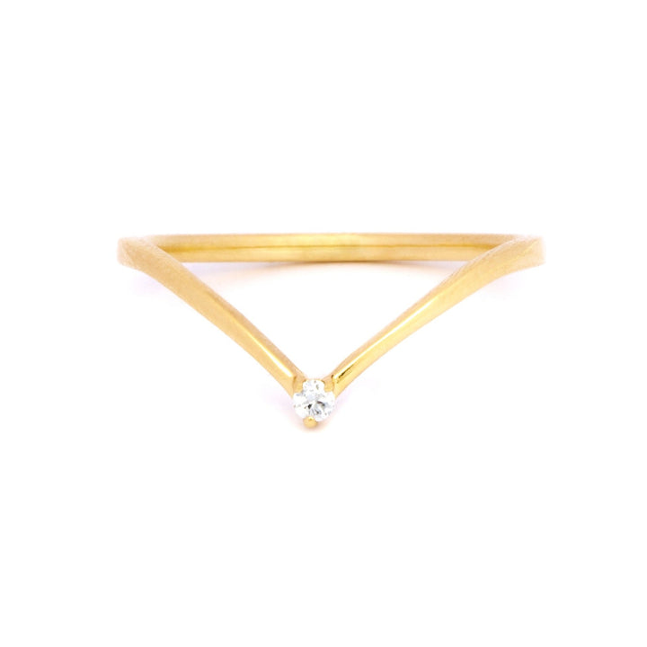 Parana ring