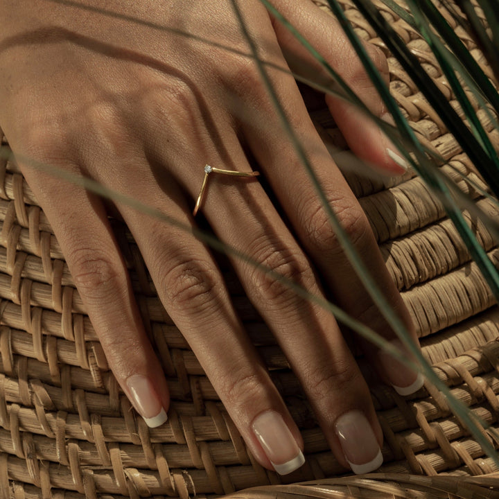 Parana ring