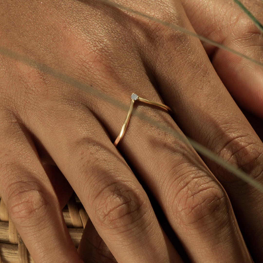 Parana ring